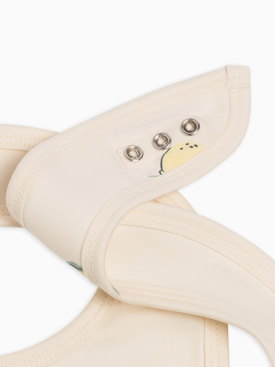 2-Pack Bibs Baby : Gear : Bibs : Feeding Colored Organics Organic Cotton Baby 2-Pack Bibs