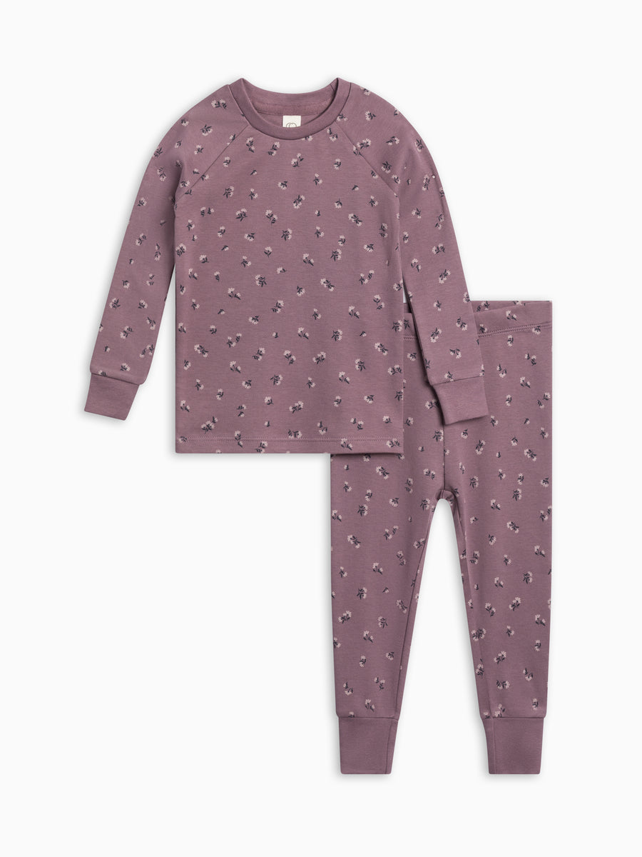 2 Piece Long Sleeve Jammie Set