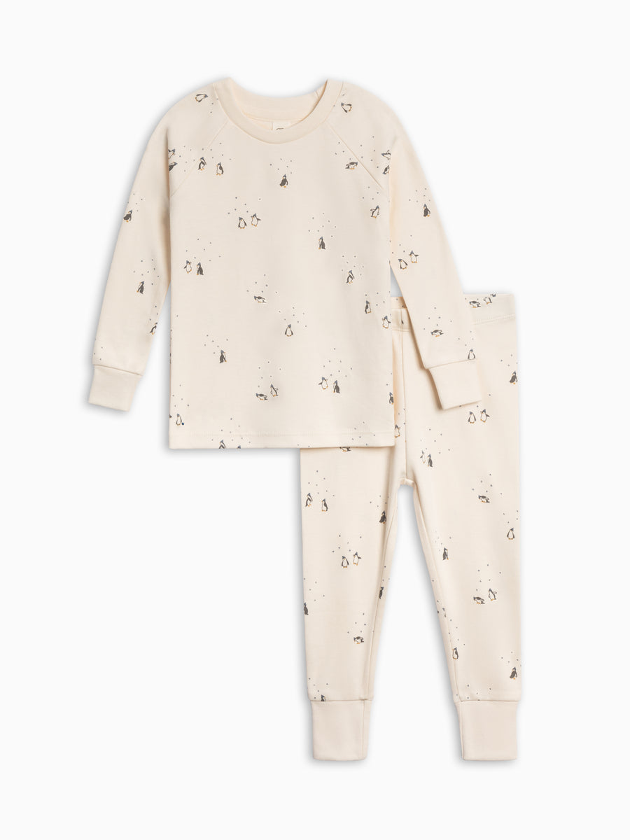 2 Piece Long Sleeve Jammie Set