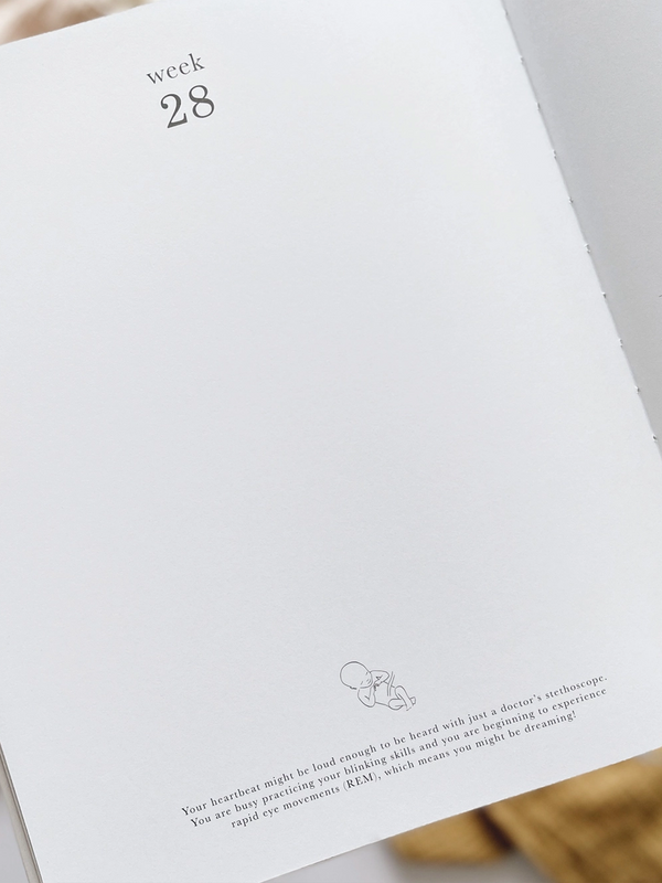 Pregnancy Journal Baby : Parent : Nursery : Journals Blush and Gold