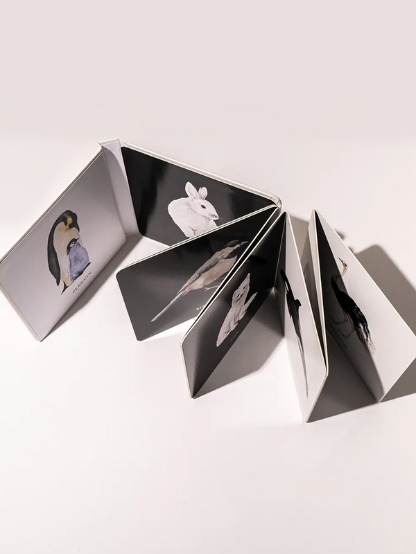 Baby's Black and White Contrast Book Baby-Kids : Nursery : Books : Toys : Learning Paige Tate & Co.