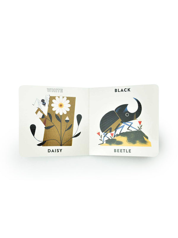 Colors in the Garden Book