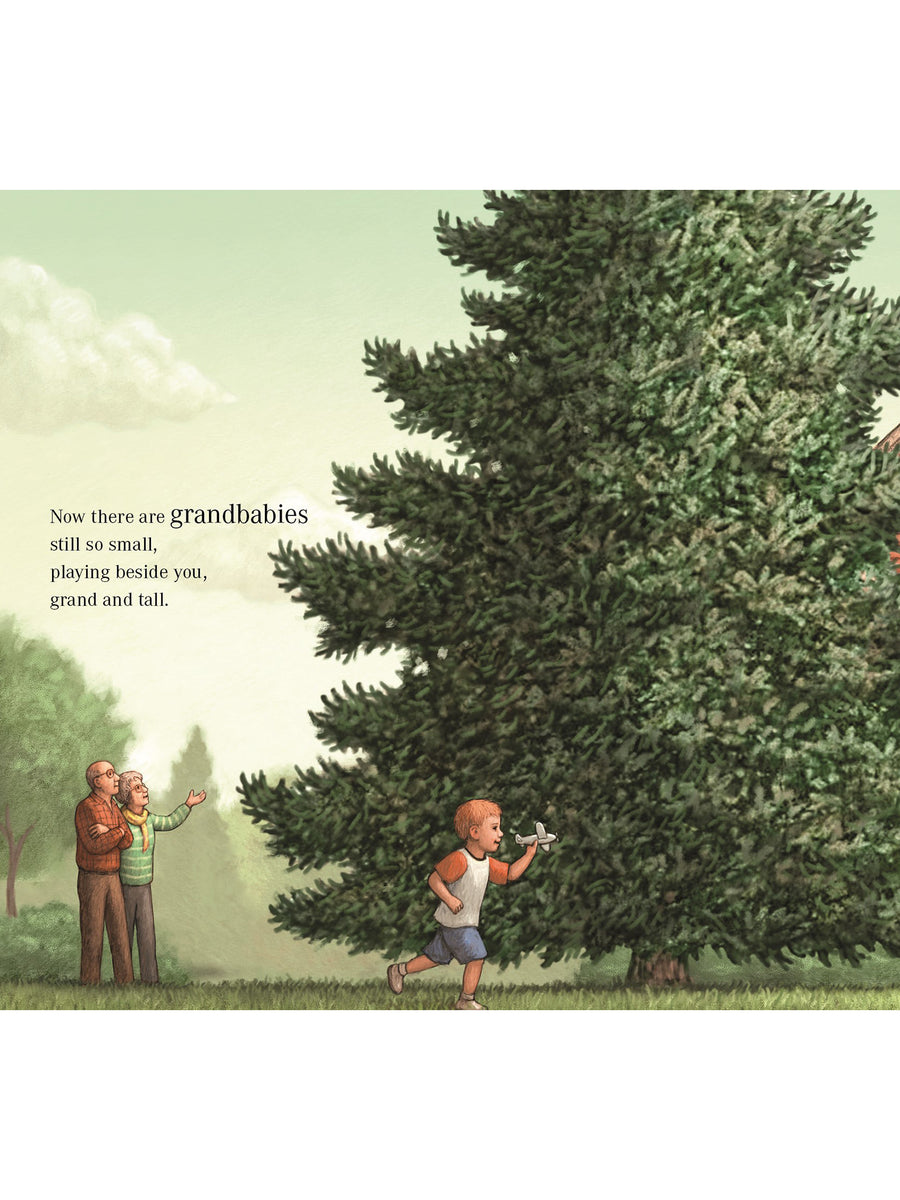 Holiday Picture Books Sale : Baby : Nursery : Books : Toys : Learning Sleeping Bear Press