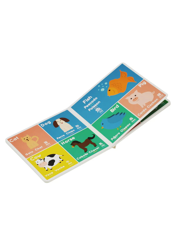 Little Lingo Book Baby-Kids : Toys : Learning Kids For Culture