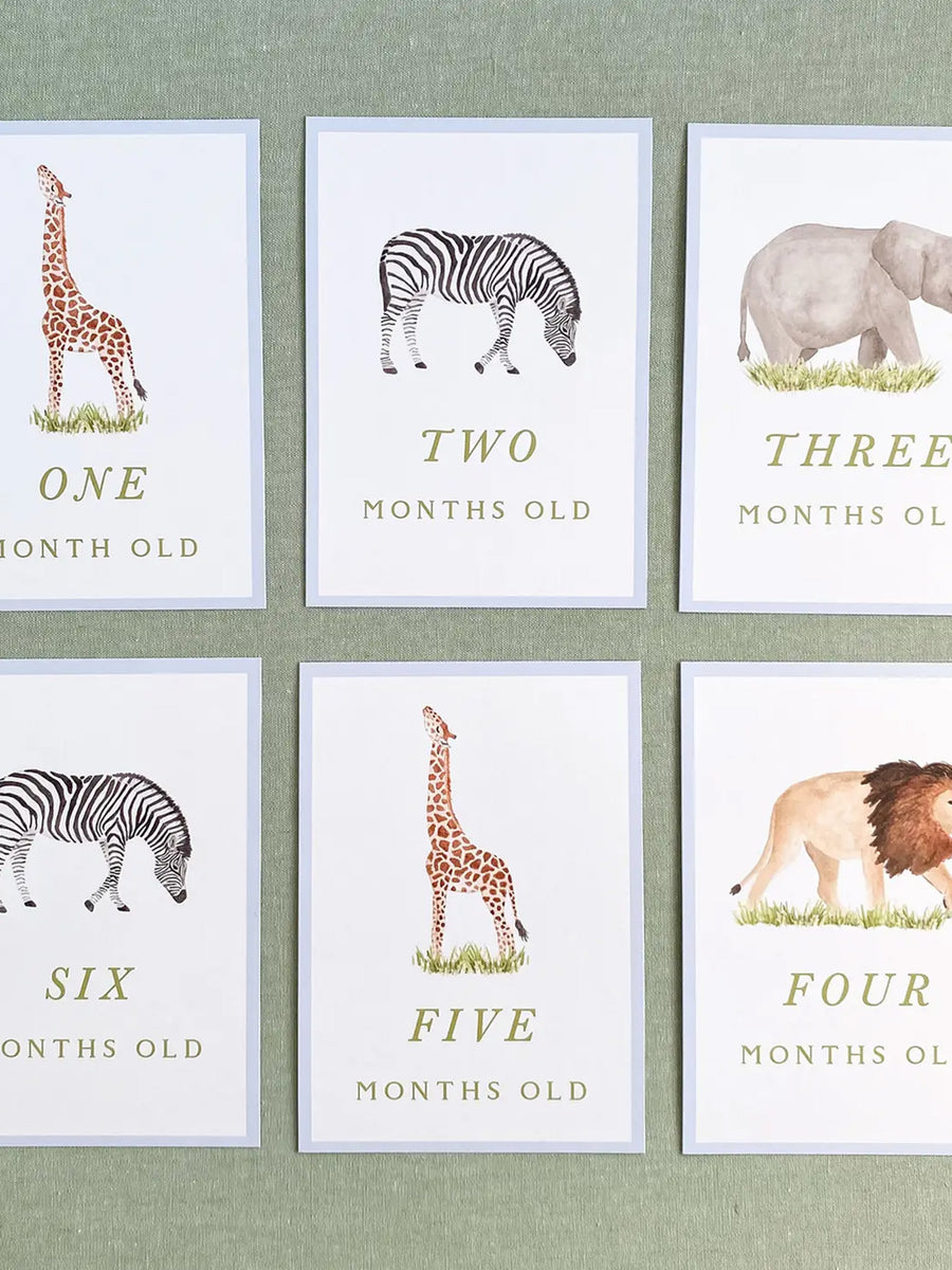 Milestone Cards Baby : Parent : Nursery : Decor Gloster Road