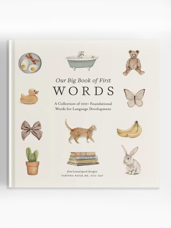 Our Big Book of First Words Baby-Kids : Nursery : Books : Toys : Learning Paige Tate & Co.