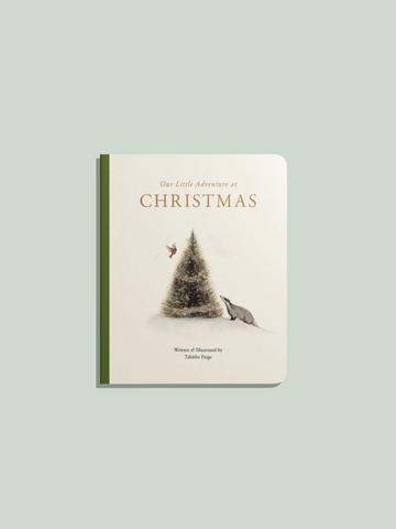 Our Little Adventure at Christmas Baby-Kids : Nursery : Books : Toys : Learning Paige Tate & Co.