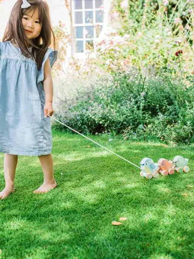 Pull Along Birdies Baby-Kids : Toys : Wooden Orange Tree Toys