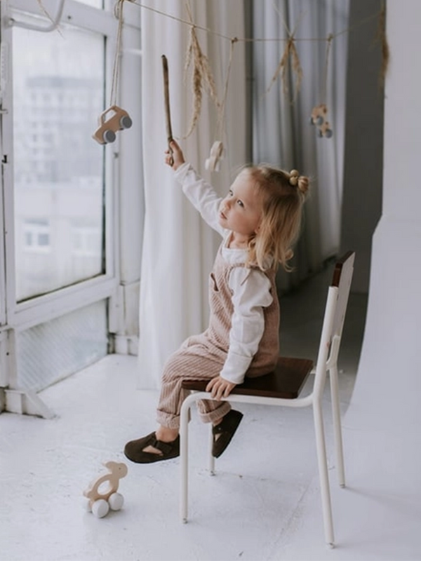 Wooden Toy Car Baby-Kids : Toys : Wooden Briki Vroom Vroom