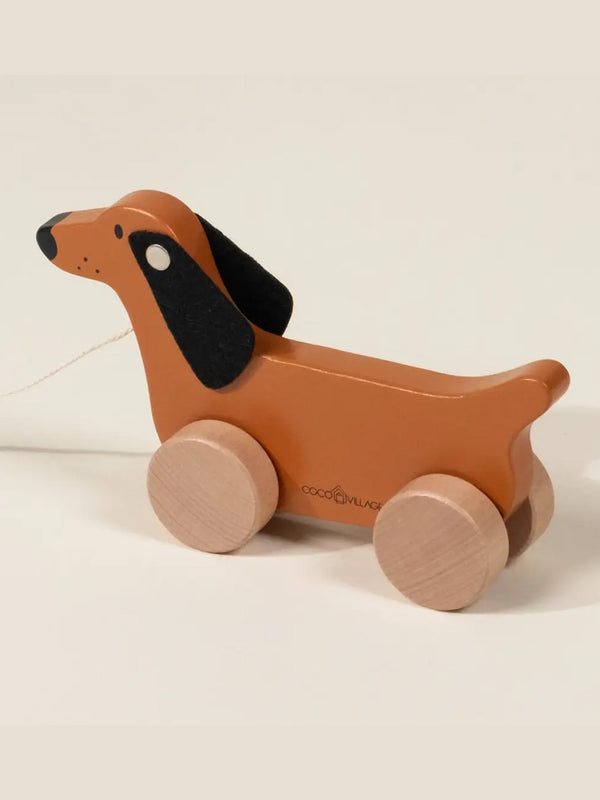 Dog Pull Toy