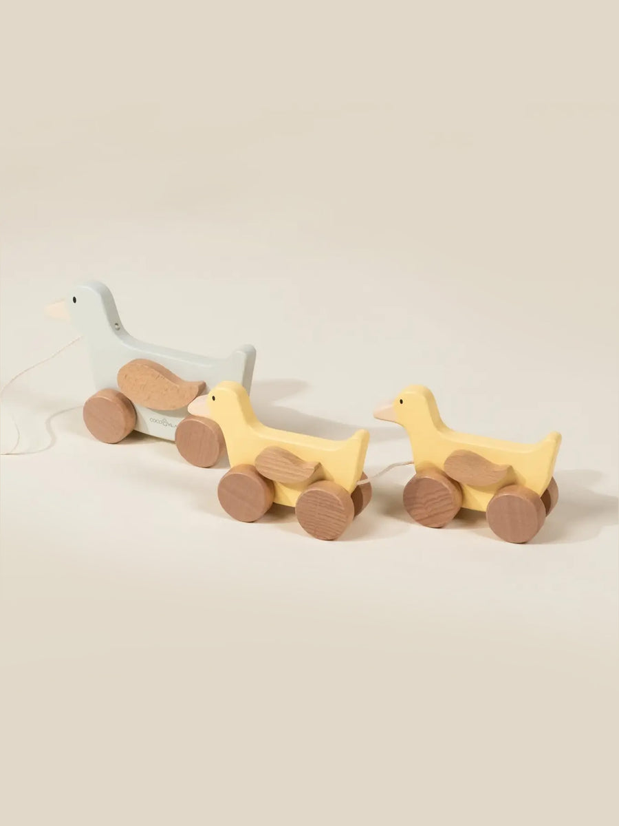 Wooden Duck Family Pull Toy
