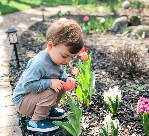 Building a Kid-Friendly Garden