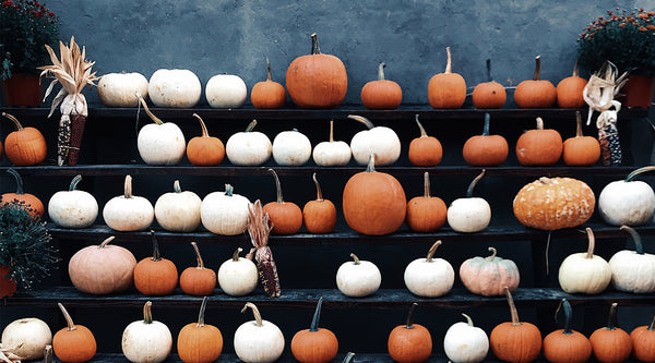 3 Easy Halloween Traditions to Start with Your Family