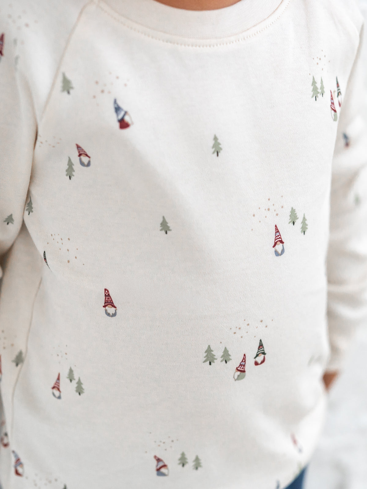 Portland Lightweight Pullover - Gnome