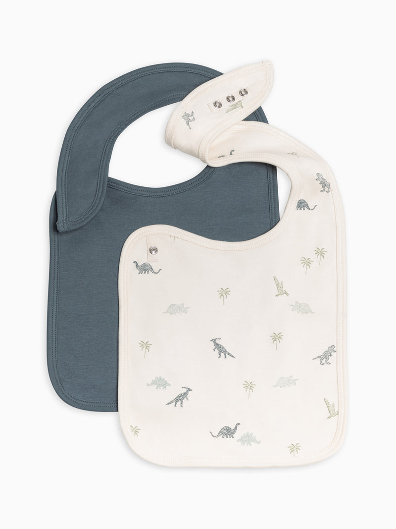 Dino-Mite Collection 2-Pack Bibs