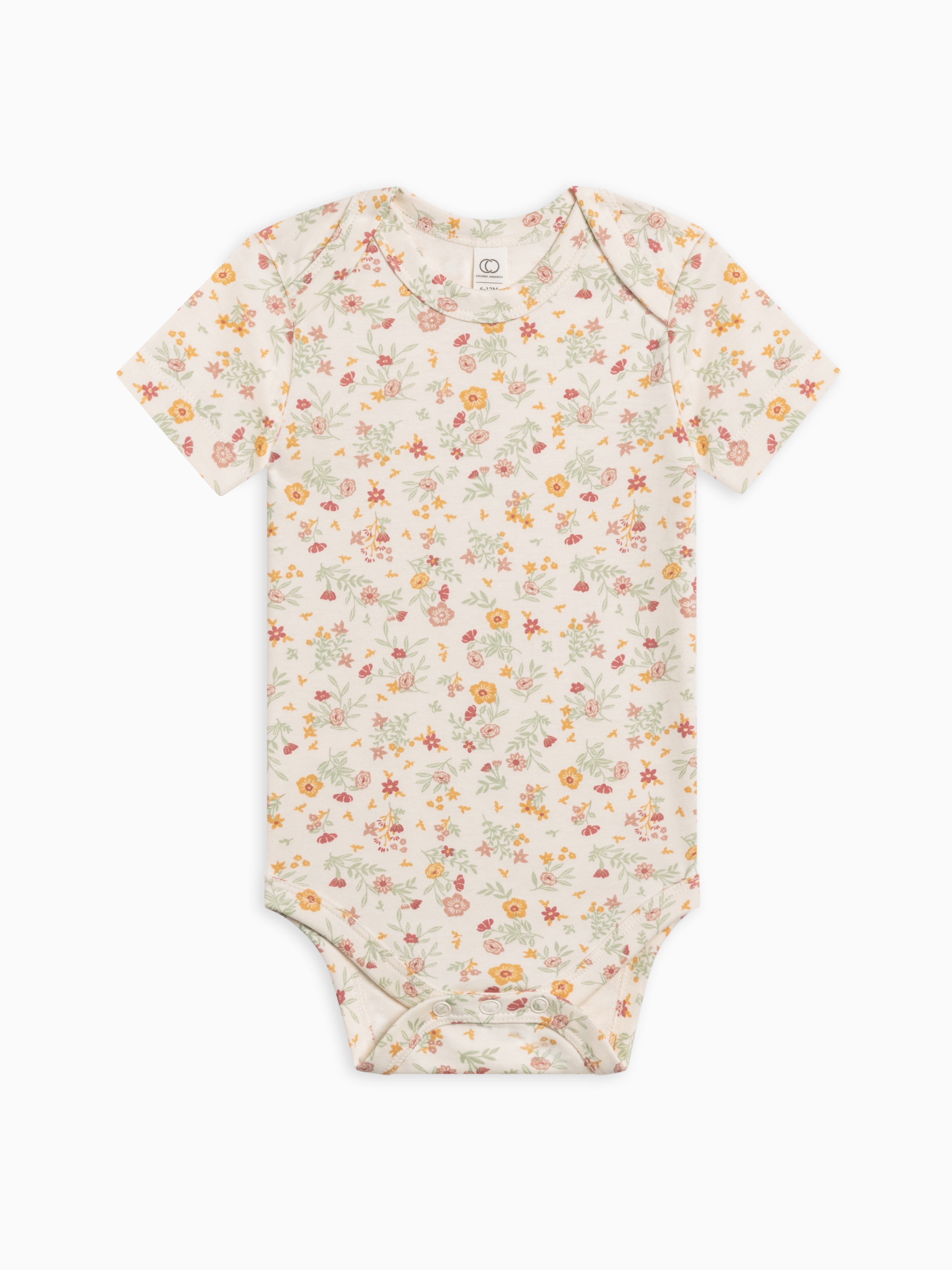 Organic Baby Short Sleeve Bodysuits