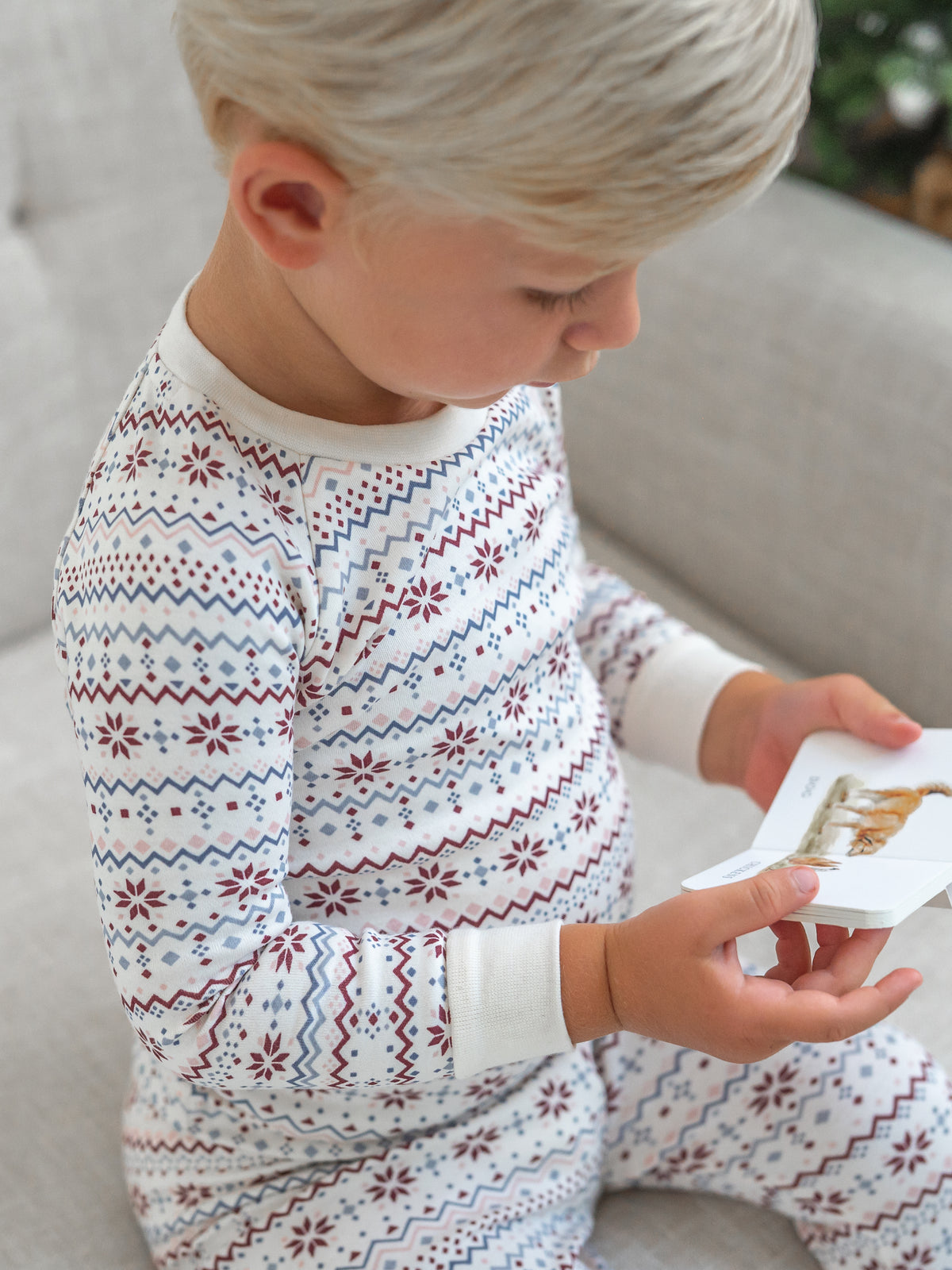 2 Piece Long Sleeve Jammie Set - Bluen Fairisle