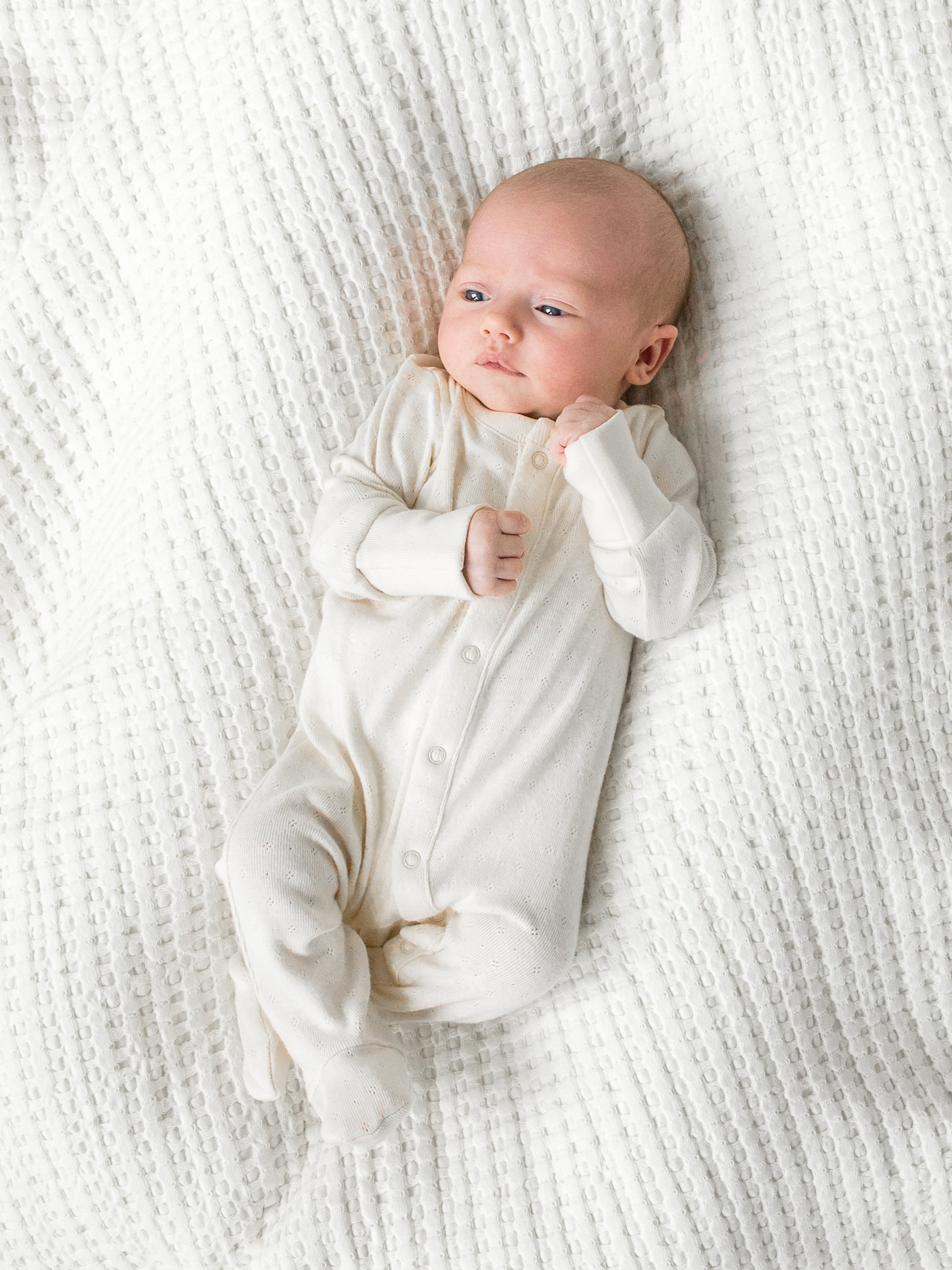 Organic Cotton Baby Pointelle Footed Sleeper Colored Organics