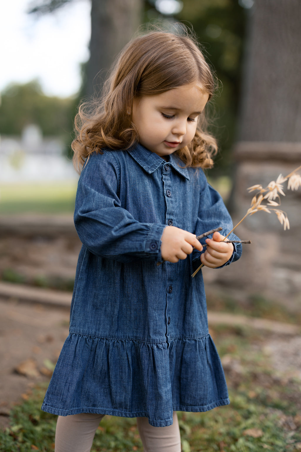Roxy Chambray Shirt Dress - AW26 Chambray