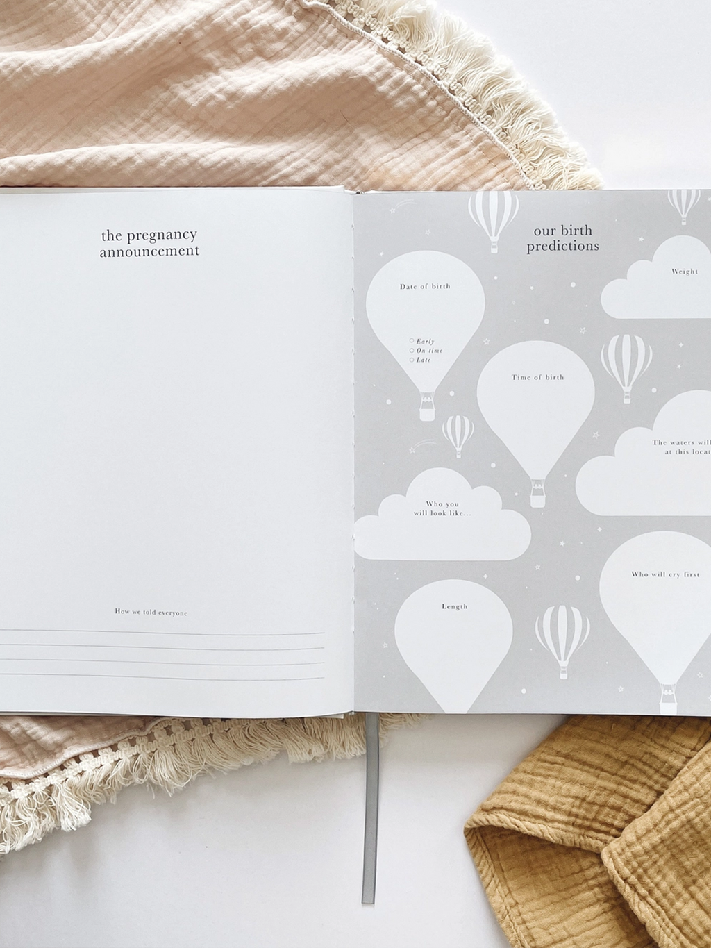 Pregnancy Journal Nursery : Memory Books Blush and Gold Pregnancy Journal Bump-to-Birth Keepsake | Colored Organics®