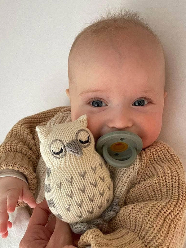 Baby Owl Rattle Toy