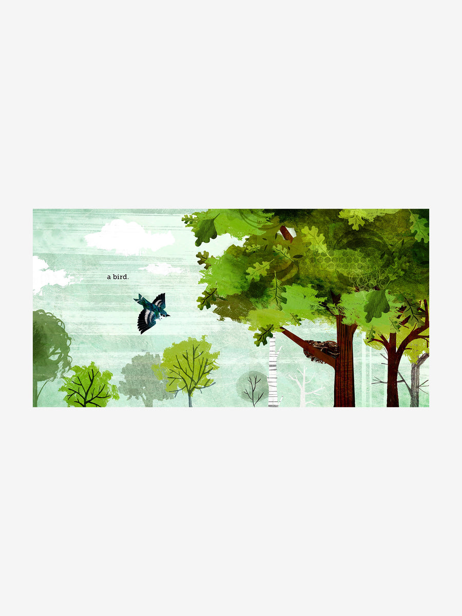 Because of An Acorn