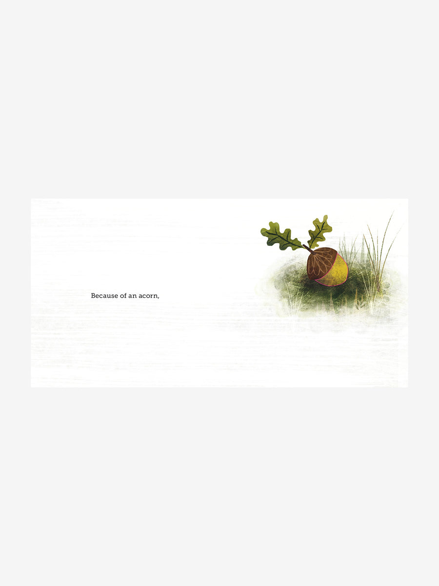 Because of An Acorn