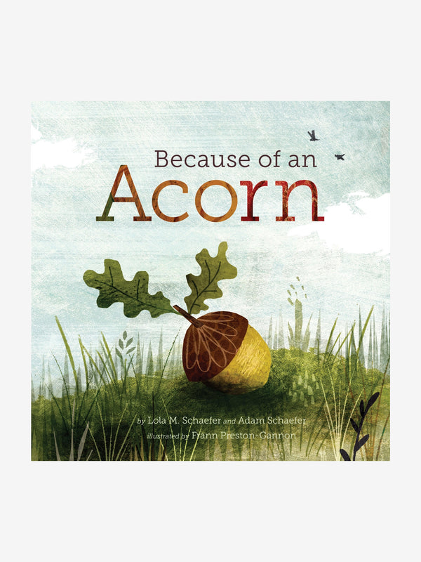 Because of An Acorn