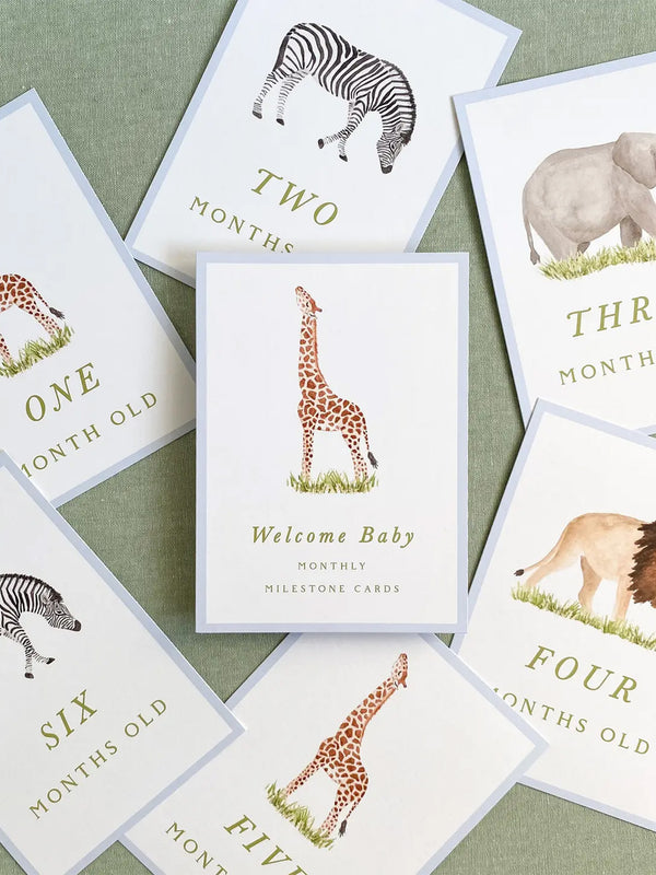 Milestone Cards Baby : Parent : Nursery : Decor Gloster Road 