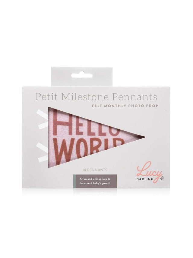 Milestone Pennants Baby :Parent :Nursery :Decor Lucy Darling 