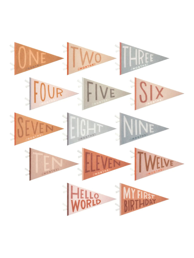 Milestone Pennants Baby :Parent :Nursery :Decor Lucy Darling 