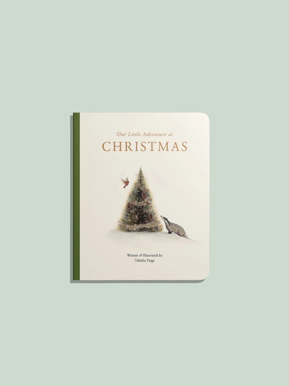 Our Little Adventure at Christmas Baby-Kids : Toys : Books Paige Tate & Co. Baby Our Little Adventure at Christmas | Colored Organics®
