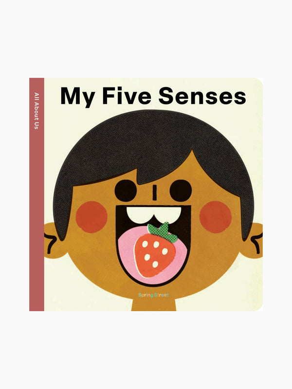 Spring Street All About Us: My Five Senses Board Book