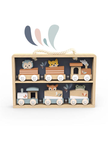 Train Set with Display Case