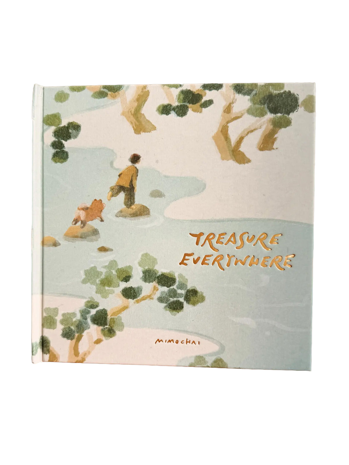 Treasure Everywhere Book