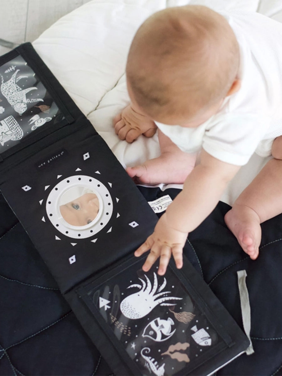 Tummy Time Gallery Baby : Nursery : Books : Toys : Learning : Plush + Crinkle Wee Gallery 