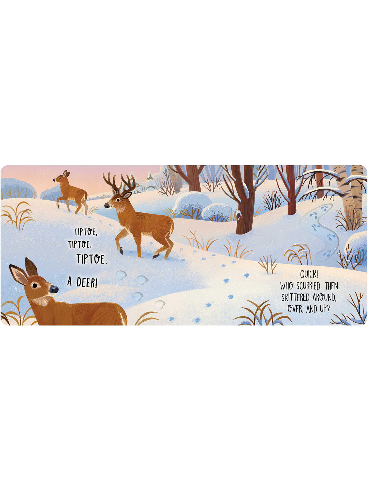 Whose Prints? Board Book