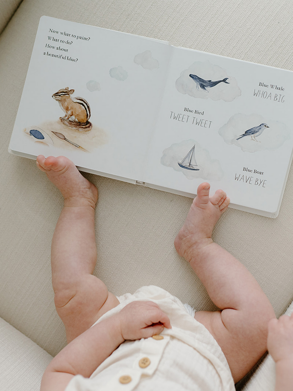 Wishy Washy A Board Book of First Words and Colors Baby-Kids : Toys : Books Paige Tate & Co. Wishy Washy A Board Book of First Words | Colored Organics®