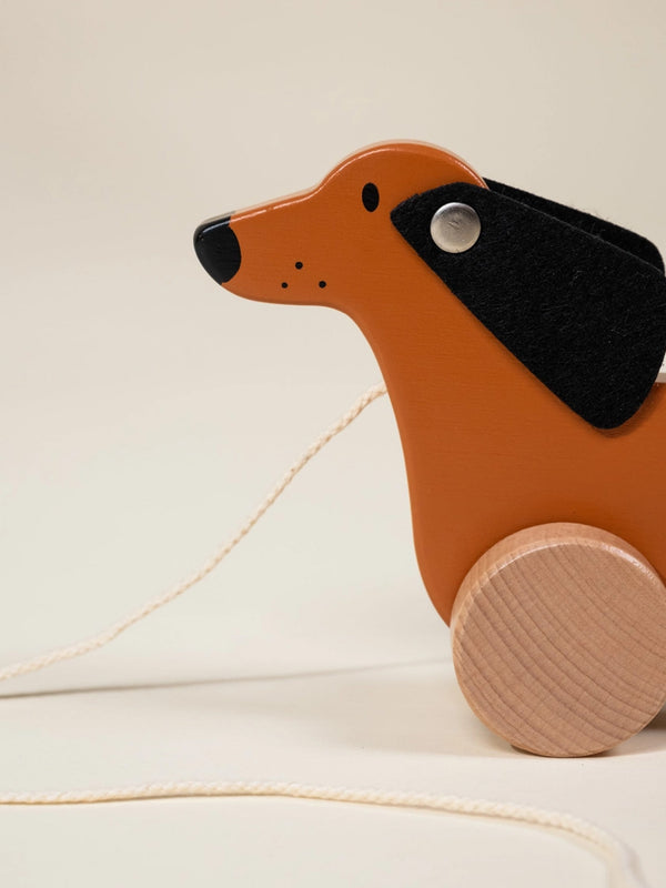 Dog Pull Toy