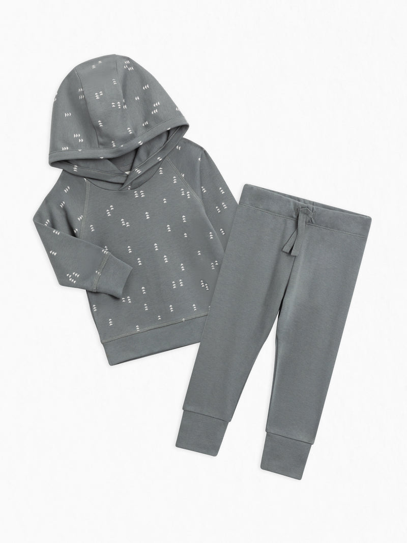 Organic Hoodie and Pant Set