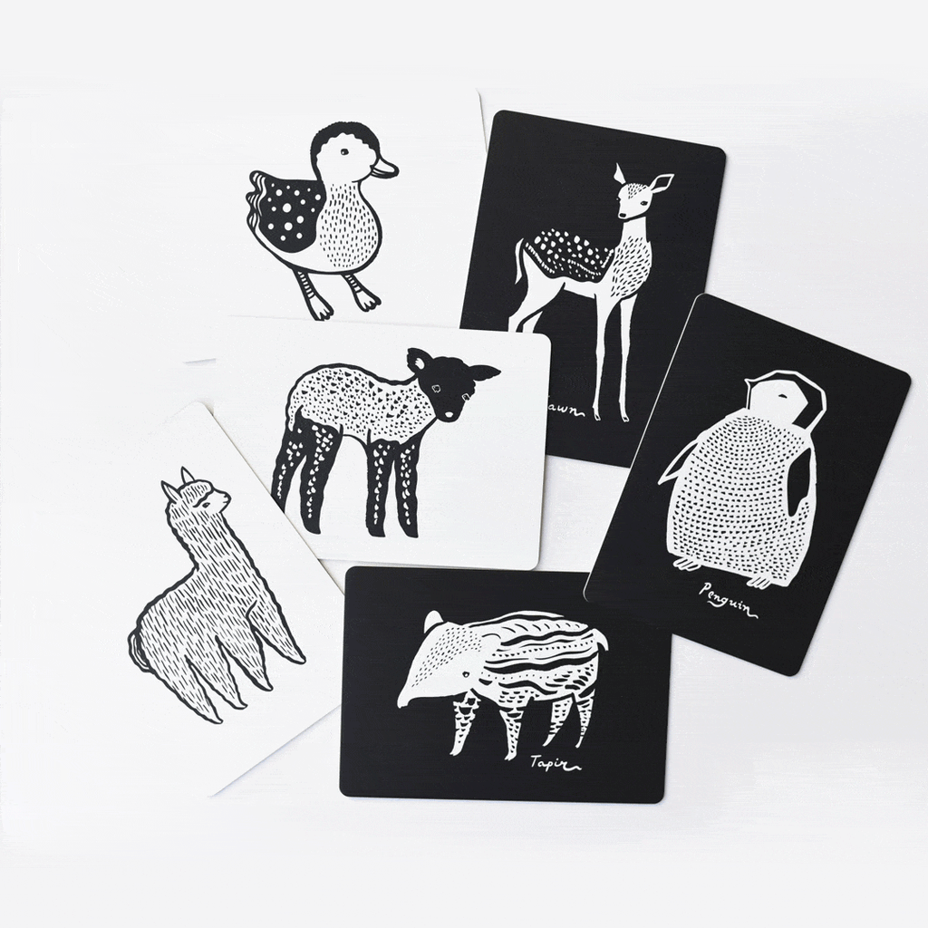 Art Cards for Baby Kids : Toys : Activities Wee Gallery Black and White Wee Gallery Art Cards | Colored Organics®