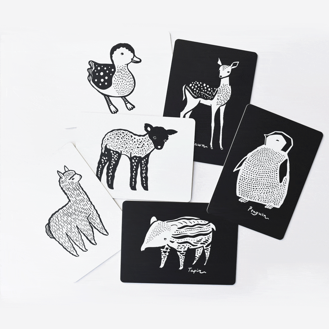 Art Cards for Baby Kids : Toys : Activities Wee Gallery Black and White Wee Gallery Art Cards | Colored Organics®