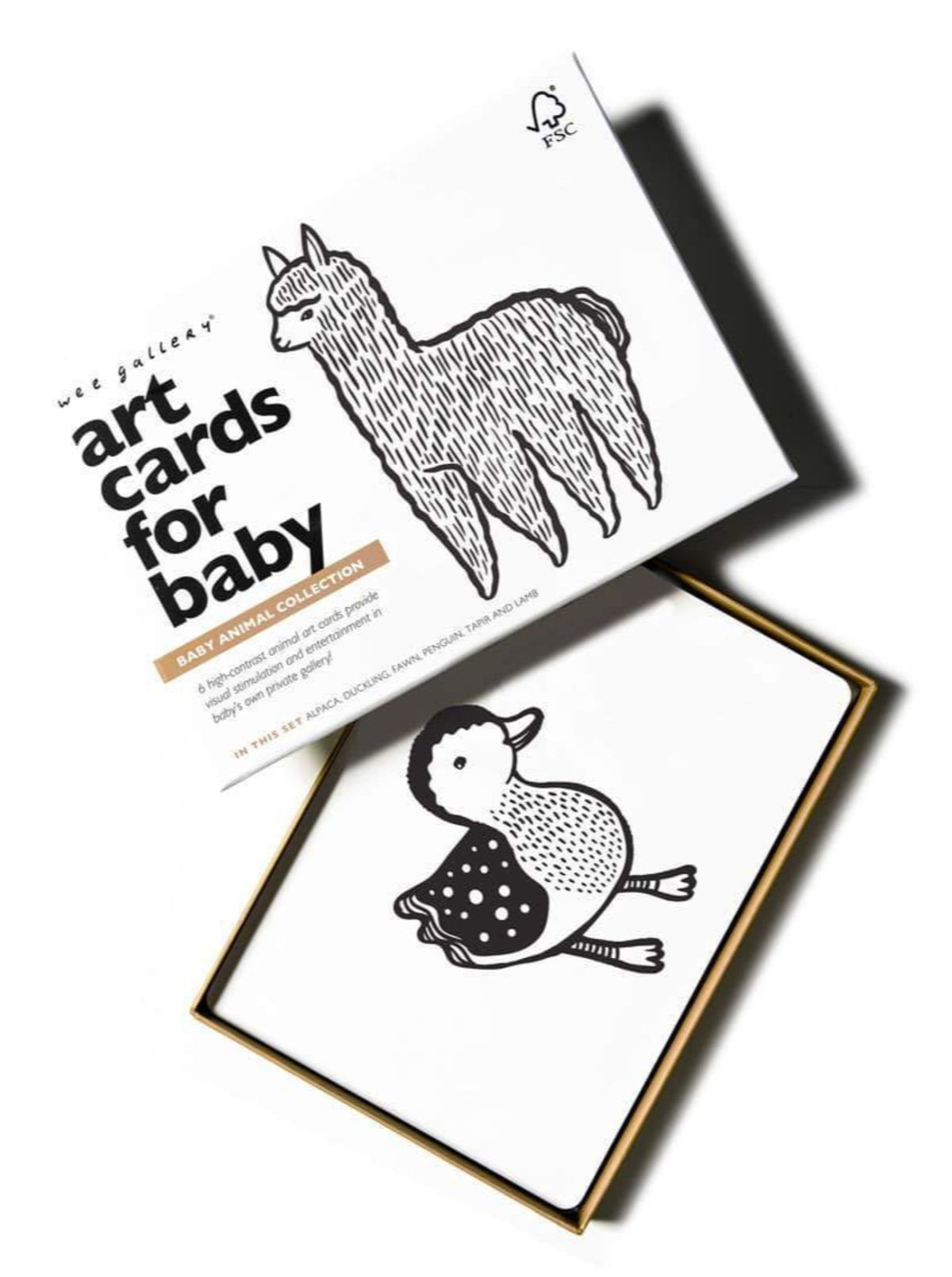 Art Cards for Baby Kids : Toys : Activities Wee Gallery Black and White Wee Gallery Art Cards | Colored Organics®