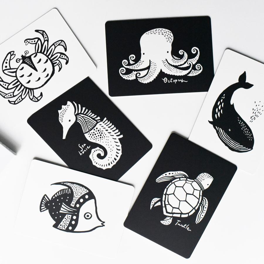 Art Cards for Baby Kids : Toys : Activities Wee Gallery Black and White Wee Gallery Art Cards | Colored Organics®
