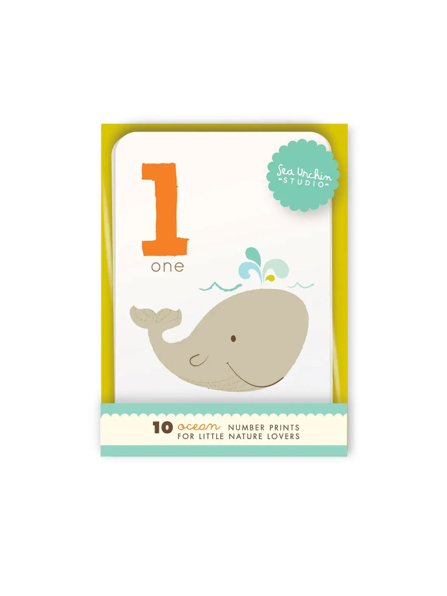 Counting Card Set Baby-Kids : Toys : Learning Sea Urchin Studio 