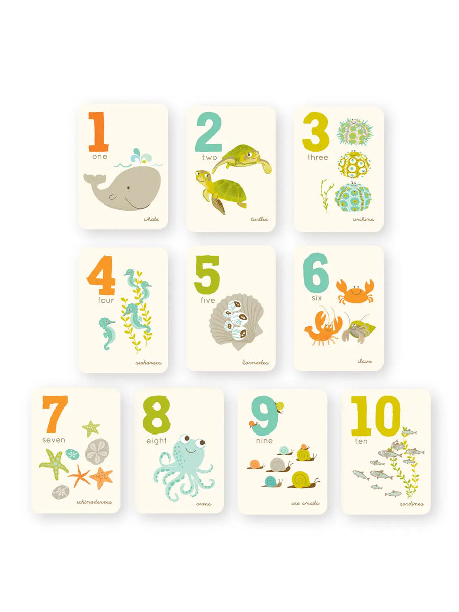 Counting Card Set Baby-Kids : Toys : Learning Sea Urchin Studio 