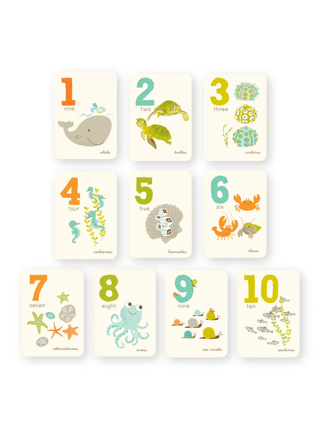 Counting Card Set Baby-Kids : Toys : Learning Sea Urchin Studio 
