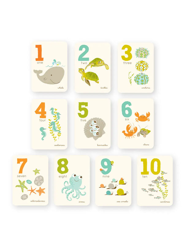 Counting Card Set