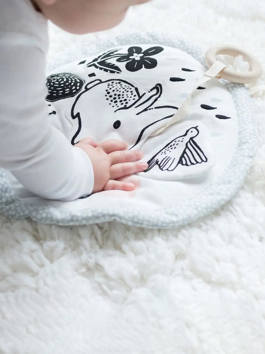 Organic Activity Pad Baby : Toys : Learning : Plush + Crinkle Wee Gallery 