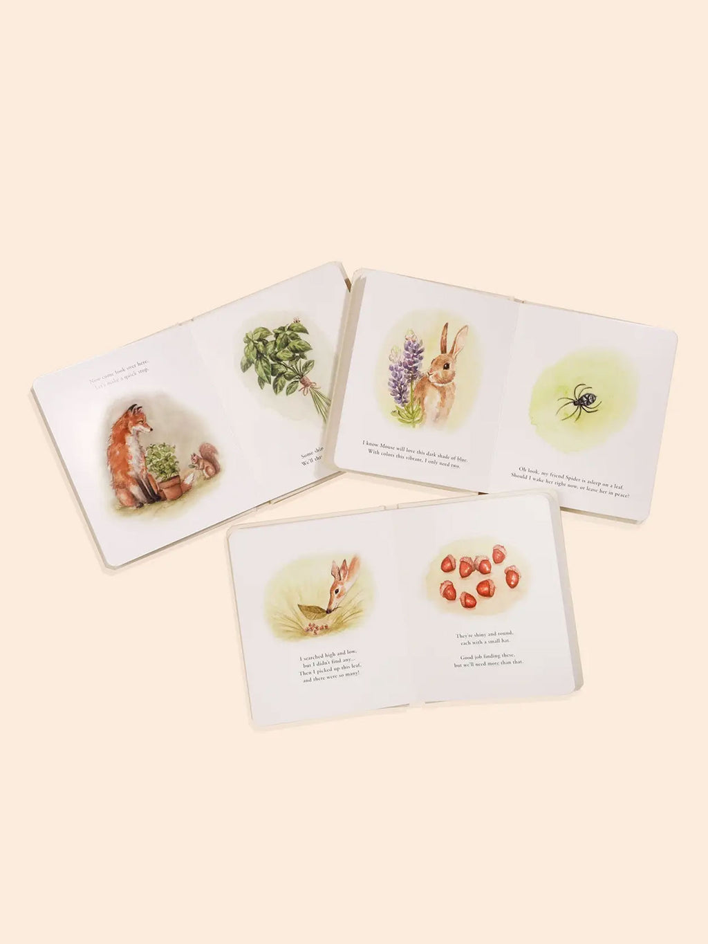 Our Little Adventures Book Box Set Baby-Kids : Toys : Books Paige Tate & Co. Baby Our Little Adventures Book Box Set | Colored Organics®
